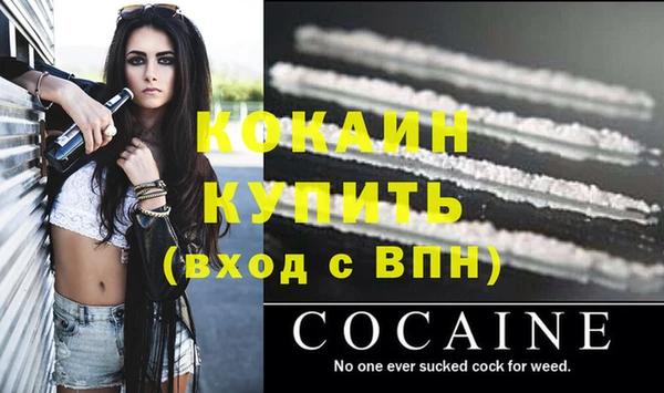 амф Осинники