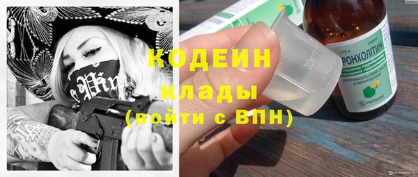 амф Осинники